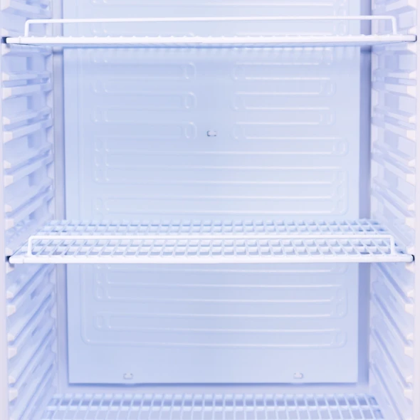 image.jpeg