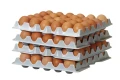 ed27a2651a77b9834fb1f58051d09681
