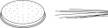 ae669e9ebb9165a4cb51ecab820f7832