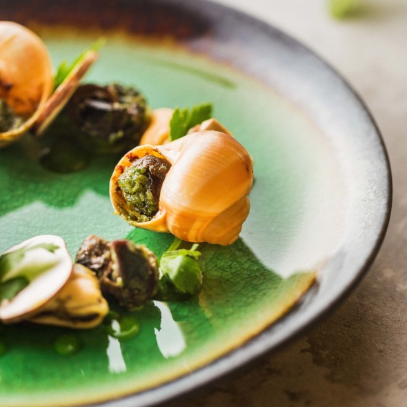 f60e18bdf6f6d48186ad7a76c84c2630