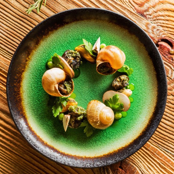 9e5c36d6ba8b79d223c9839e49f6a3c7