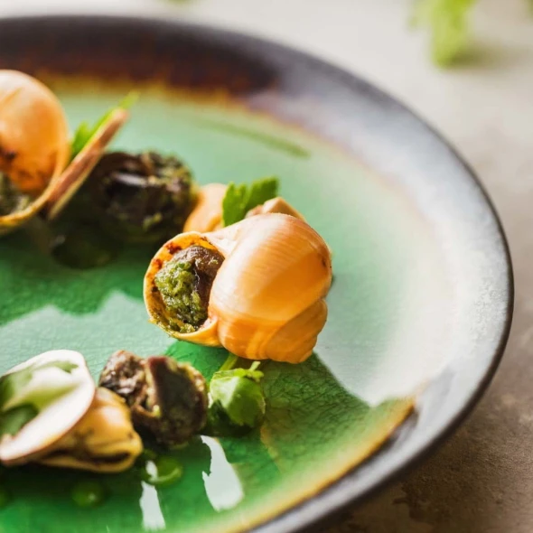 0f8de21fd541d884f50112a8b196d735