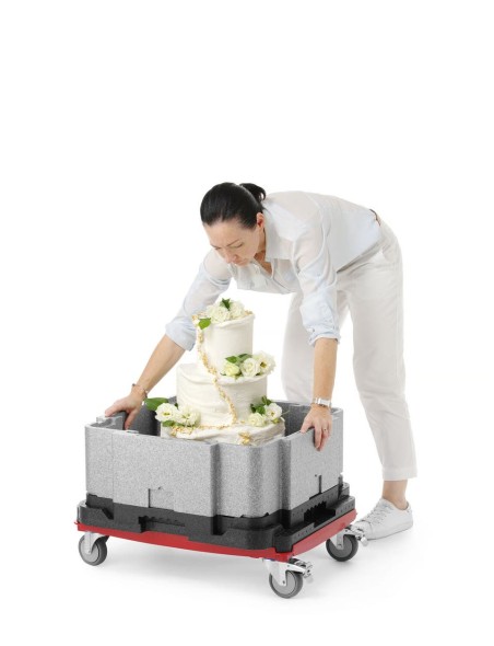 Pojemnik termoizolacyjny wielofunkcyjny Cam GoBox®, Cambro, szary EPPMFBE122110